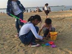 -瑶湖郊野森林公园