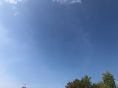 -华侨城湿地公园