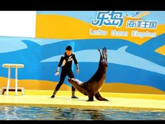 -秦皇岛乐岛海洋王国