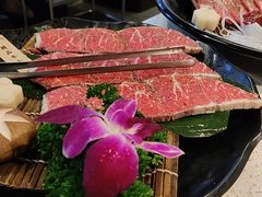-猫抓烤肉(春熙路店)