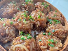 农家大肉丸-农乐园食府(梅城镇店)