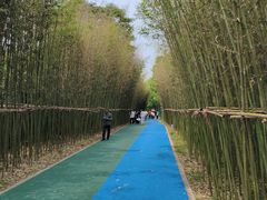 -黄河小浪底水利枢纽风景区