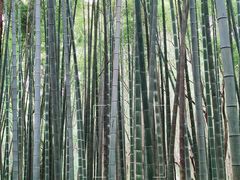 -同里国家湿地公园
