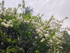 -谷咖啡·鲜花绿植花园餐厅