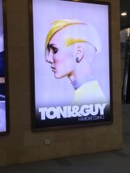 点击看大图 -TONI&GUY