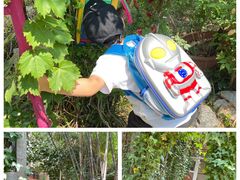 -小仙居·农家宴烤羊· 农庄