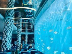 -瑞德姆美人鱼海底演艺主题餐厅(亚龙湾店)