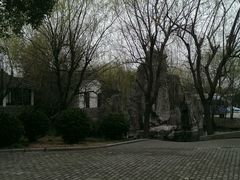 android_upload_pic-溱湖国家湿地公园