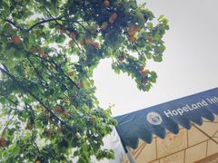 -华兰国际幼稚园(海逸园)