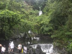-石台牯牛降景区