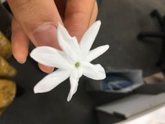-张一元·(王府井店)