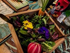 朱迪的菜园-烛影拾光观景餐厅·创意菜·摄影·小提琴(大唐不夜城店)