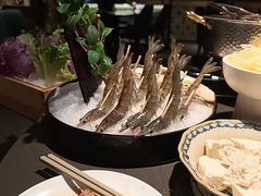 -粤凤佬