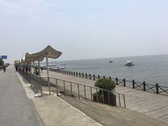 -碧海金沙