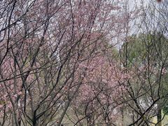 -南湖湿地公园