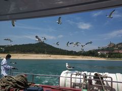 -海驴岛(荣成市)