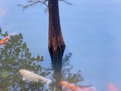 -茵特拉根酒店·西餐厅