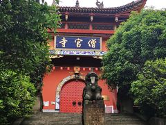 -铁山坪森林公园