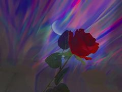 -壹迦桌游·血染钟楼剧本杀狼人杀