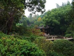-汇龙潭