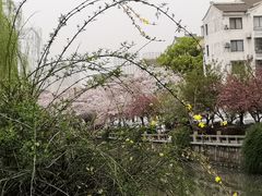 -常熟方塔园