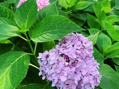 -常州古运河南大街文化旅游区-人民公园