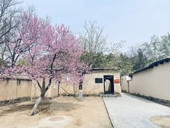 -西柏坡红色胜典景区