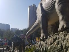 -陕西自然博物馆