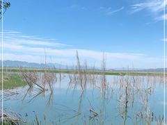 -野鸭湖国家湿地公园