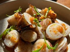 酿馅儿小鱿鱼-OTIUM • 柴屿麦(亮马桥店)