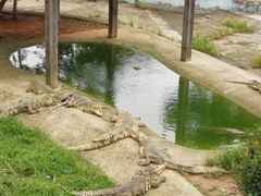 -无锡动物园·太湖欢乐园
