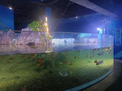 -常州海昌海洋探索馆