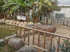 -宁波野生动物园