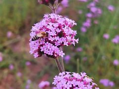-石井坡(地铁站)