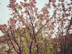 -长沙市青少年宫