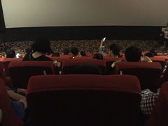 -龙之星国际影城(太平店)