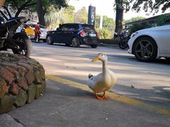 -广州市紫泥堂文化创意园景区