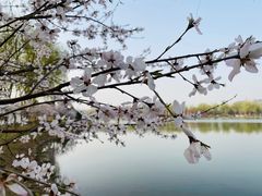 -河北省园博园