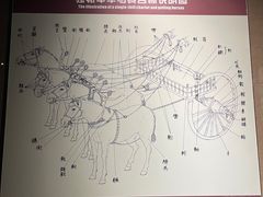 -洛阳周王城天子驾六博物馆