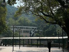 -石排湾郊野公园