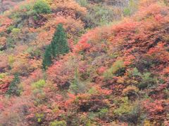 -塔云山