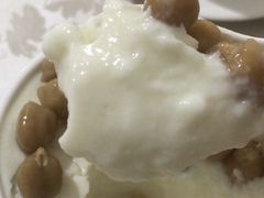 鹰嘴豆双皮奶-老周记顺德双皮奶