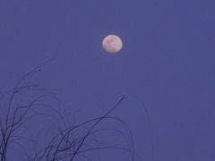 -泰州凤城河风景区-泰山公园