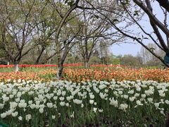 -江南春(中山中路店)