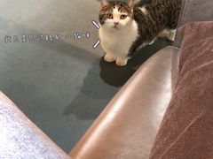 -IFIF 如果花園(宽厚里店)