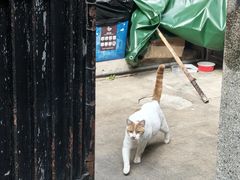 -上海鲁迅故居