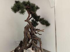 -九献创意菜·新中式(亮马河花园私宴店)