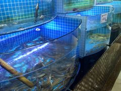 水产区-前王院•巧克力海鲜市集餐厅(万平口店)