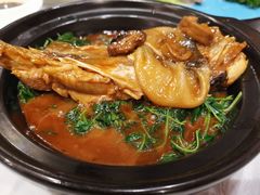 红烧河鱼秧草-鸿运酒楼