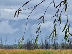 -野鸭湖国家湿地公园